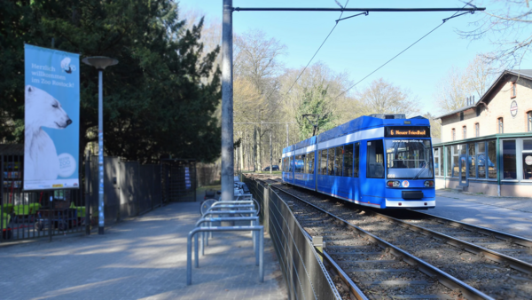 Geplante neue Straßenbahnstrecke vom Zoo nach Reutershagen: So geht es weiter