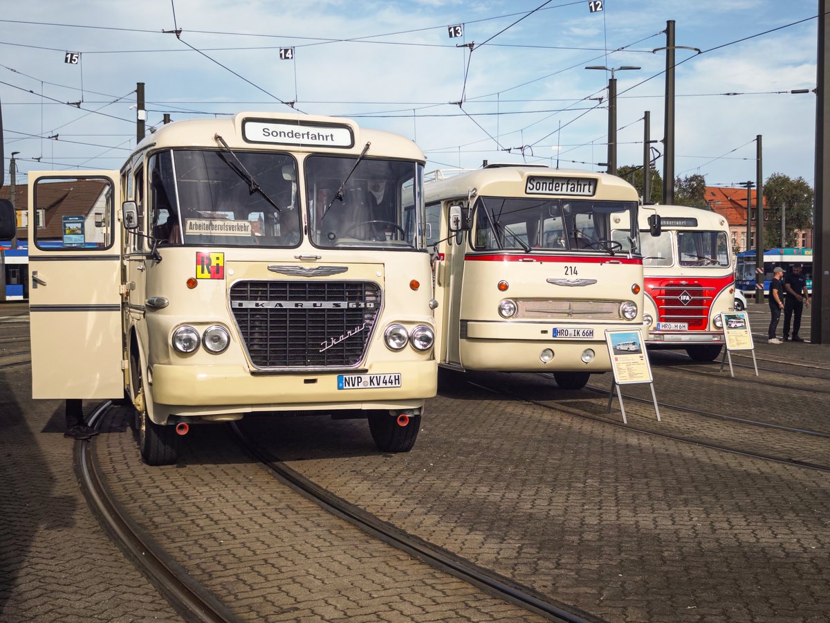 100 Jahre Busverkehr: Mobilität erleben für Technikbegeisterte