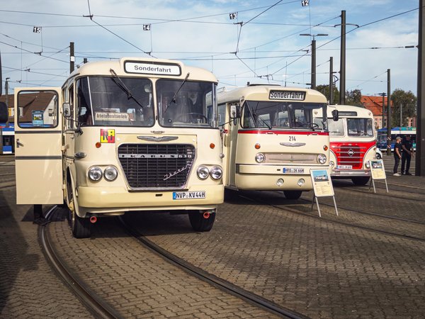 100 Jahre Busverkehr: Mobilität erleben für Technikbegeisterte