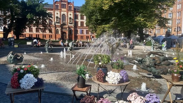 Kunsthandwerkermarkt Universitätsplatz Rostock