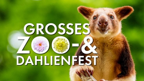 Großes Zoo- und Dahlienfest im Zoo Rostock