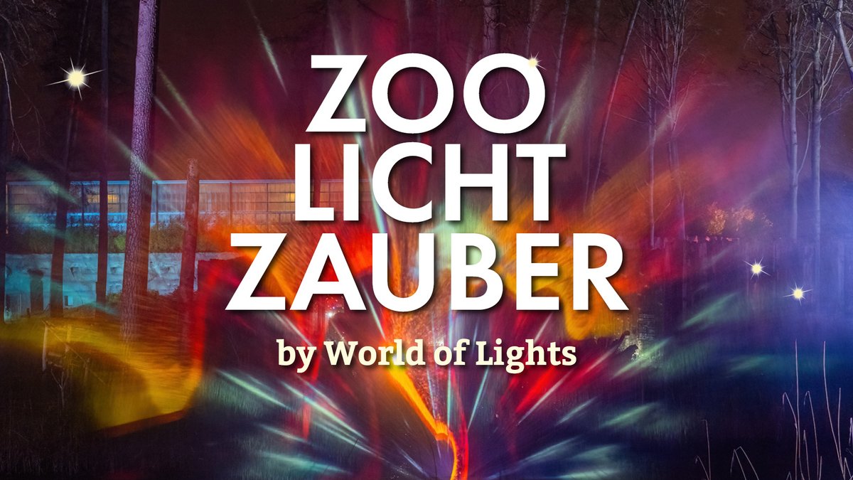 Zoolichtzauber 2025
