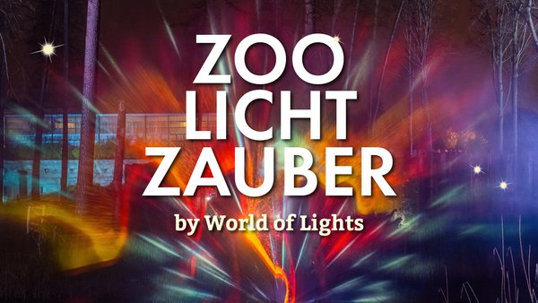 Zoolichtzauber 2025
